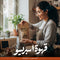 بن الكلان قهوة اسبريسو محلية من نوع قهوة بن محلي، تعبئة عالية الجودة من شركة el-clan.com، تظهر في الصورة.