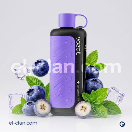 Vozol Gear Hookah 40k Blueberry Mint Disposble توت نعناع