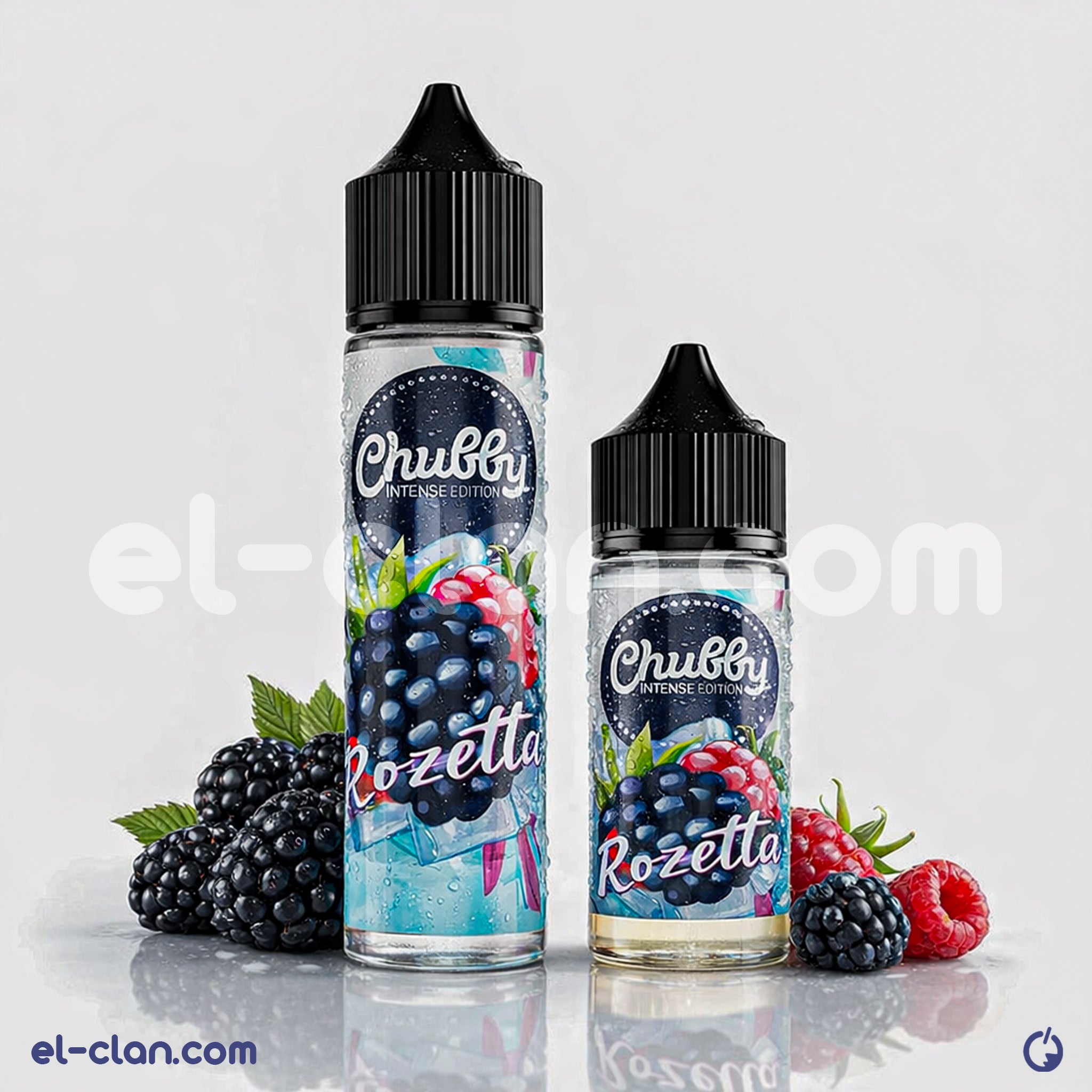 Chubby Rozetta Succulent Berries - el-clan.com
