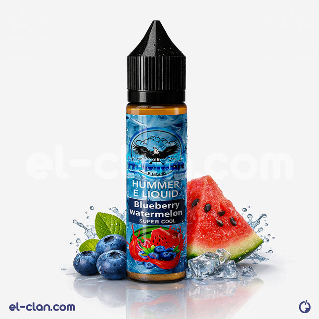 Hummer E-Juice blueberry watermelon flavored vape liquid in a transparent bottle with blue and pink branding.