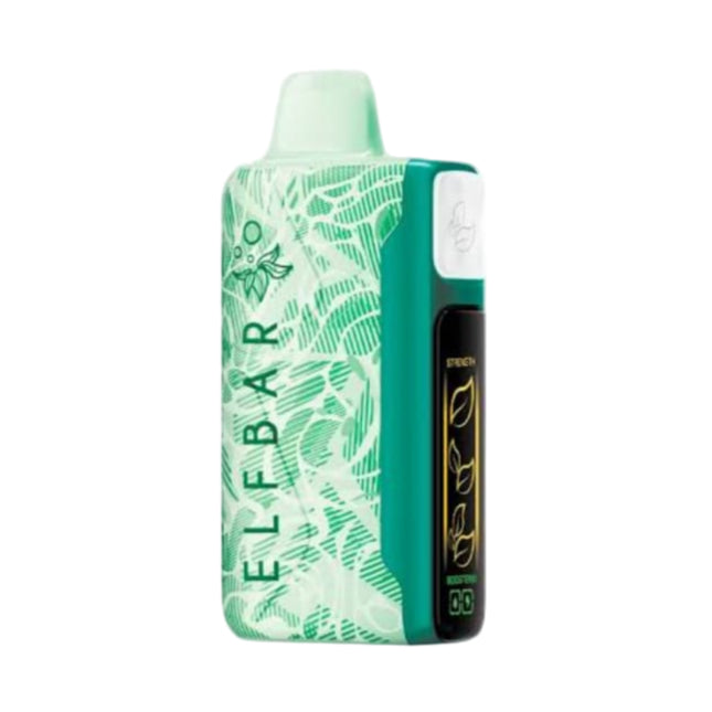 Elfbar Nic King 30K Miami Mint Disposable نعناع