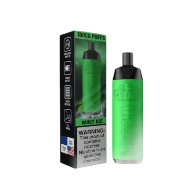 Bang 18K Mint Ice disposable vape with 18,000 puffs, featuring refreshing mint flavor and 50mg salt nicotine.
