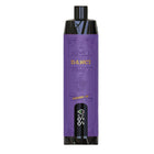 Danci 18K Blueberry Ice Disposable توت ساقع
