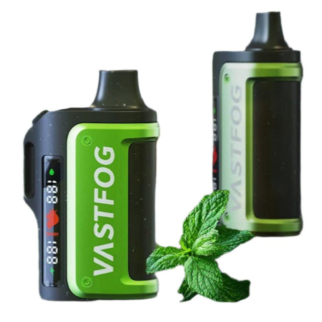 Vastfog Mech 15K spearmint disposable vape with spearmint flavor, showing the sleek design and puff count on the device.
