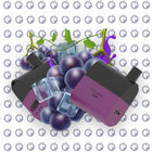 Xtra Flavors Blueberry disposable vape device with 5500 puffs, salt nicotine, featuring a sleek blueberry flavor design.